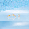 Constellation Studs